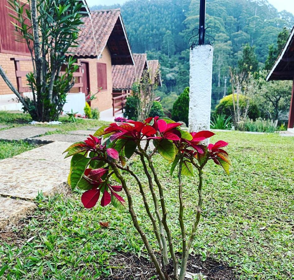 Willa Chales Encantus Monte Verde  Zewnętrze zdjęcie